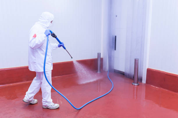 Best Graffiti Removal Services in Cleary, MS