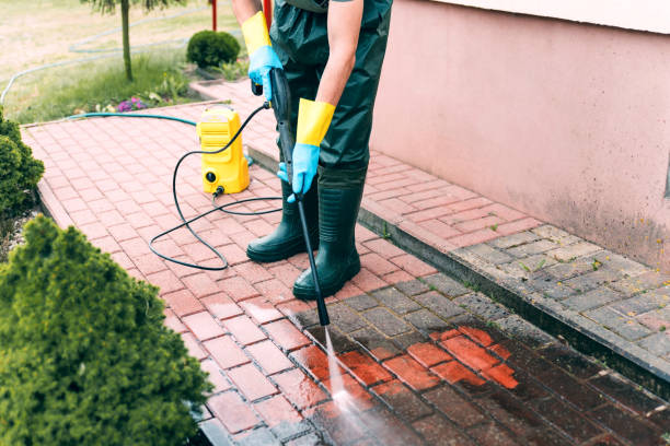 Best Gutter Cleaning and Brightening in Cleary, MS
